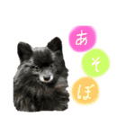 くるまると一緒。（個別スタンプ：1）