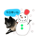 くるまると一緒。（個別スタンプ：4）