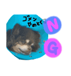 くるまると一緒。（個別スタンプ：5）