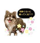 くるまると一緒。（個別スタンプ：8）