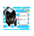 くるまると一緒。（個別スタンプ：13）