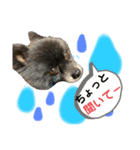 くるまると一緒。（個別スタンプ：15）