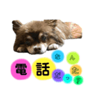 くるまると一緒。（個別スタンプ：19）