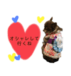 くるまると一緒。（個別スタンプ：20）