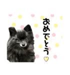 くるまると一緒。（個別スタンプ：24）