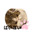 獅子丸くんです②（個別スタンプ：4）