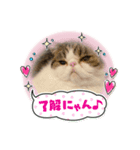 獅子丸くんです②（個別スタンプ：5）