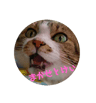 ナナエモン②（個別スタンプ：5）