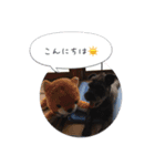 愛しのムサシとコジロウ（個別スタンプ：2）