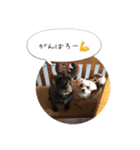 愛しのムサシとコジロウ（個別スタンプ：7）