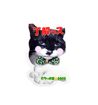 ちっぷ家★0405①（個別スタンプ：1）