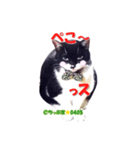 ちっぷ家★0405①（個別スタンプ：2）