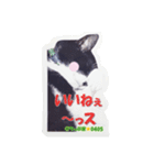 ちっぷ家★0405①（個別スタンプ：3）