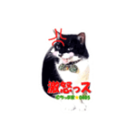 ちっぷ家★0405①（個別スタンプ：4）