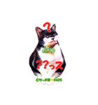ちっぷ家★0405①（個別スタンプ：5）