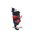 ちっぷ家★0405①（個別スタンプ：7）