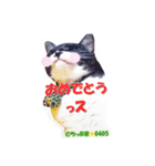 ちっぷ家★0405①（個別スタンプ：9）