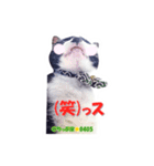 ちっぷ家★0405①（個別スタンプ：11）