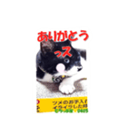 ちっぷ家★0405①（個別スタンプ：12）