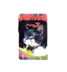 ちっぷ家★0405①（個別スタンプ：13）