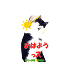 ちっぷ家★0405①（個別スタンプ：15）