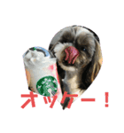 じぷ（個別スタンプ：1）