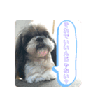 じぷ（個別スタンプ：2）