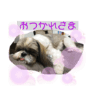 じぷ（個別スタンプ：3）
