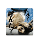 じぷ（個別スタンプ：5）