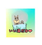 ぴっぴかん（個別スタンプ：4）