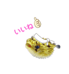 かわいいお魚スタンプ（個別スタンプ：1）