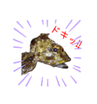 かわいいお魚スタンプ（個別スタンプ：3）