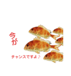 かわいいお魚スタンプ（個別スタンプ：8）