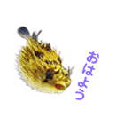 かわいいお魚スタンプ（個別スタンプ：10）
