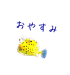 かわいいお魚スタンプ（個別スタンプ：14）
