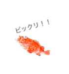 かわいいお魚スタンプ（個別スタンプ：15）