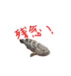 かわいいお魚スタンプ（個別スタンプ：18）
