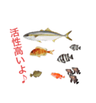 かわいいお魚スタンプ（個別スタンプ：24）