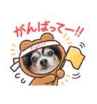 らむちゃんいっぱい（個別スタンプ：8）