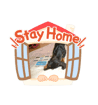 ダックスらぶのスタンプ  DachshundSticker（個別スタンプ：8）