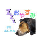 ウルくん第2弾（個別スタンプ：2）