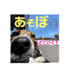 ウルくん第2弾（個別スタンプ：3）