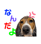 ウルくん第2弾（個別スタンプ：4）