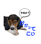ウルくん第2弾（個別スタンプ：5）