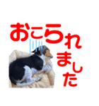 ウルくん第2弾（個別スタンプ：6）