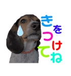 ウルくん第2弾（個別スタンプ：9）