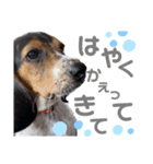 ウルくん第2弾（個別スタンプ：11）