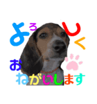 ウルくん第2弾（個別スタンプ：14）