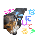 ウルくん第2弾（個別スタンプ：15）