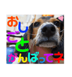 ウルくん第2弾（個別スタンプ：16）